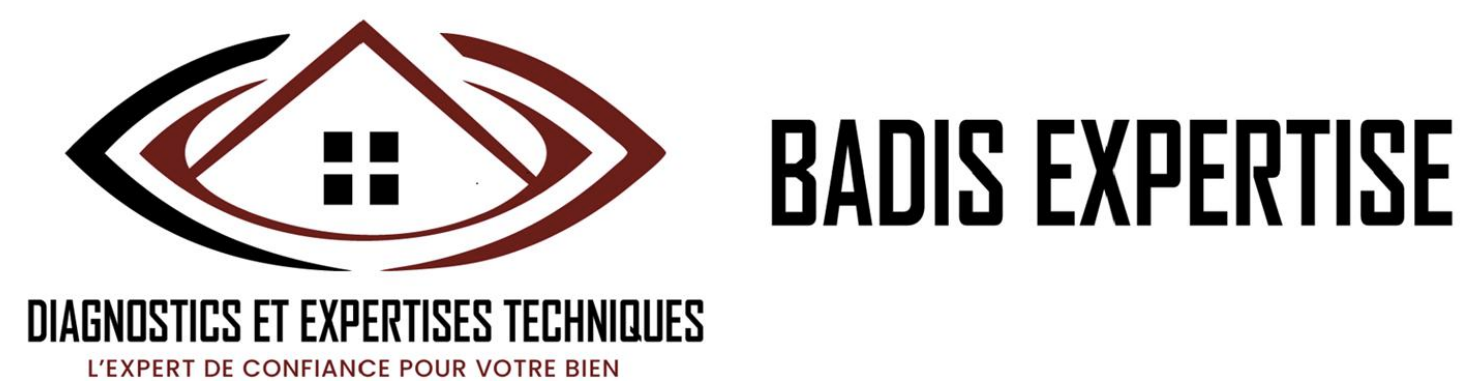 Photo de Rich BADIENGUILA NDAMBA, dpe (diagnostic de performance énergétique)