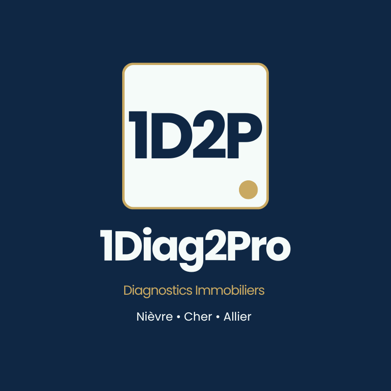 Photo de HOULOT Stéphane, diagnostic gaz