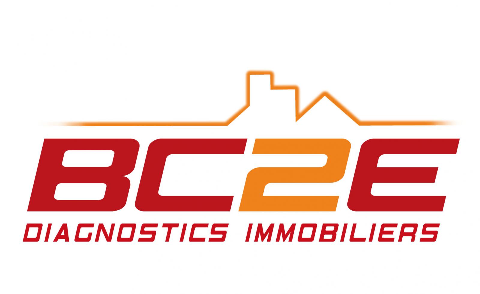 professionnel du diagnostic immobilier